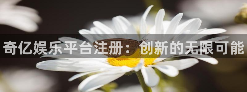 fun88环球