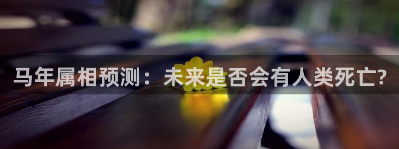 fun88环球