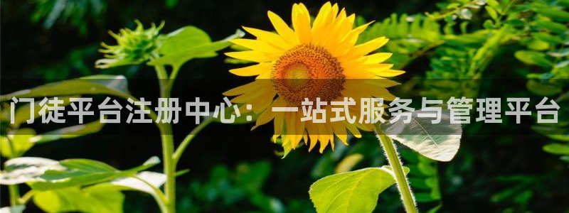 fun88网页版登录