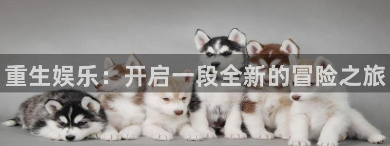 fun88city网页版登录