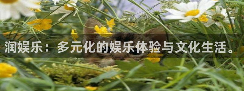 fun88网页版登录