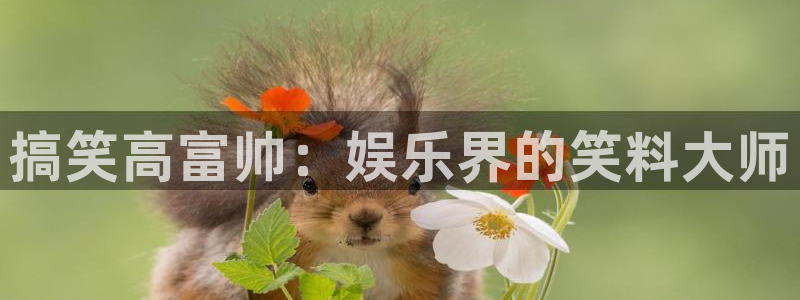 乐天堂fun88：搞笑高富帅：娱乐界的笑料大师