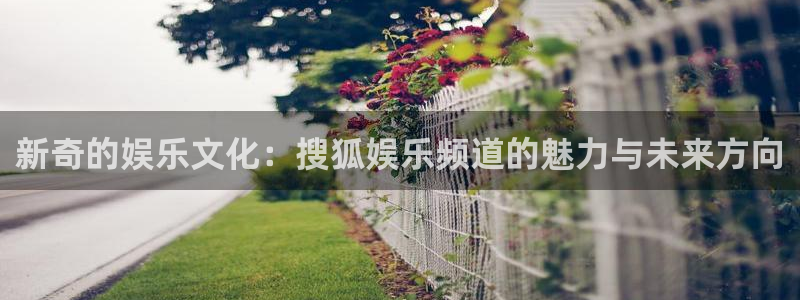 fun88乐天堂：新奇的娱乐文化：搜狐娱乐频道的魅力与未来方向