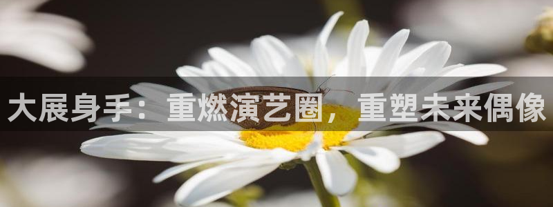 fun88环球预测：大展身手：重燃演艺圈，重塑未来偶像