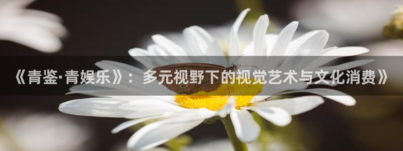 乐天堂fun88备用网址：《青鉴·青娱乐》：多元视野下的视觉艺术与文化消费》