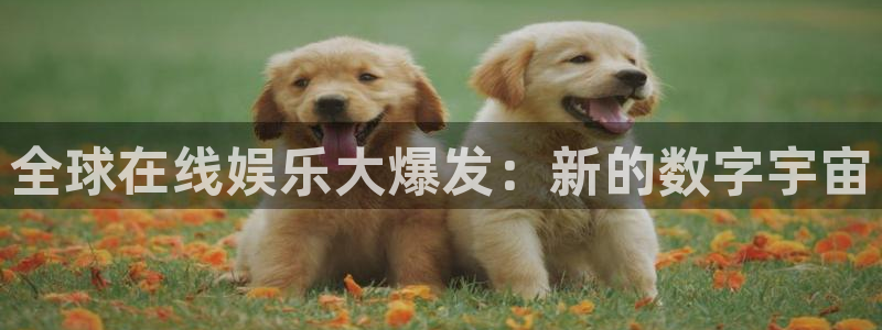 乐天堂fun88：全球在线娱乐大爆发：新的数字宇宙